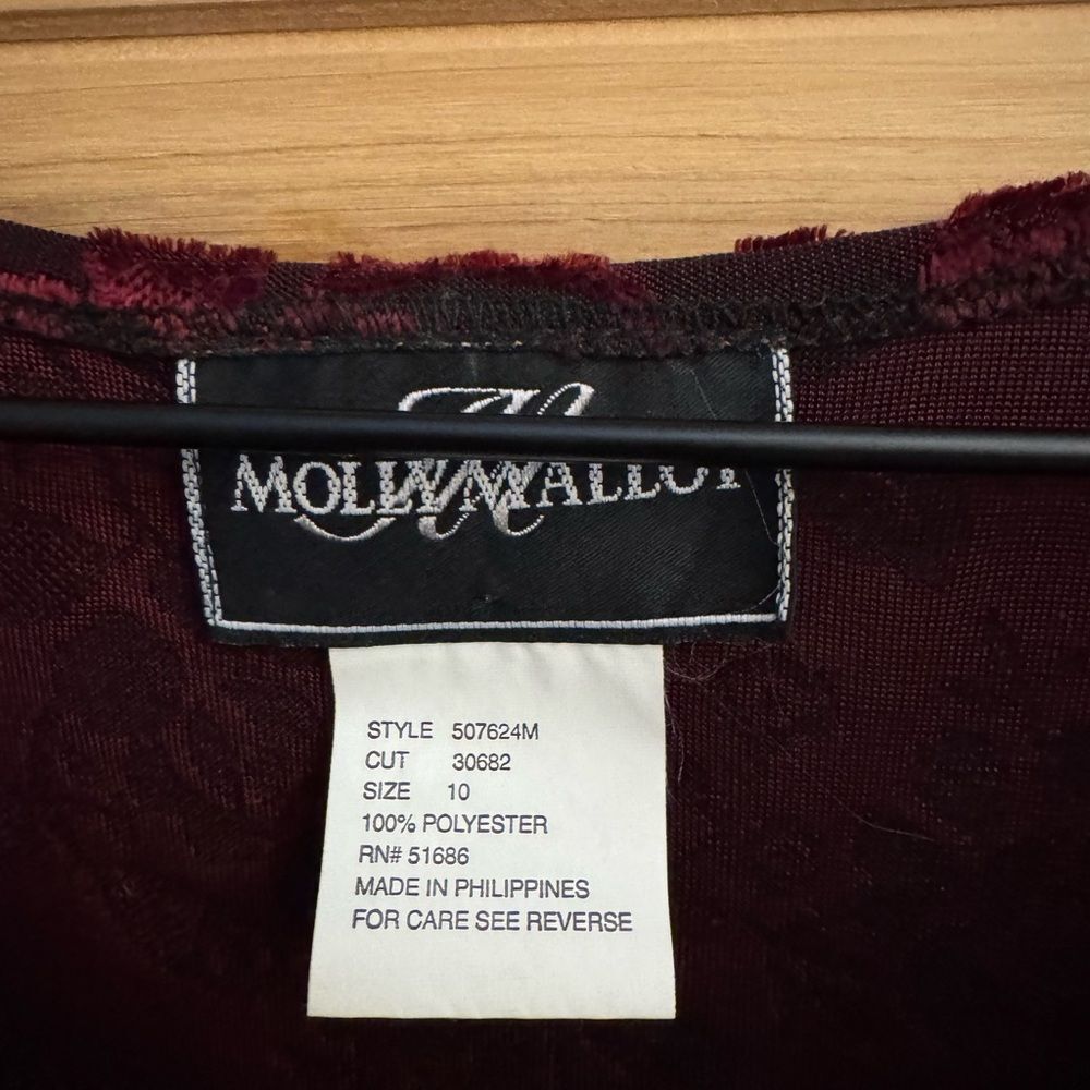 Vintage Molly Malloy Medium Floral Burnout Velvet Long Sleeve Whimsigoth Dress - Picture 12 of 12